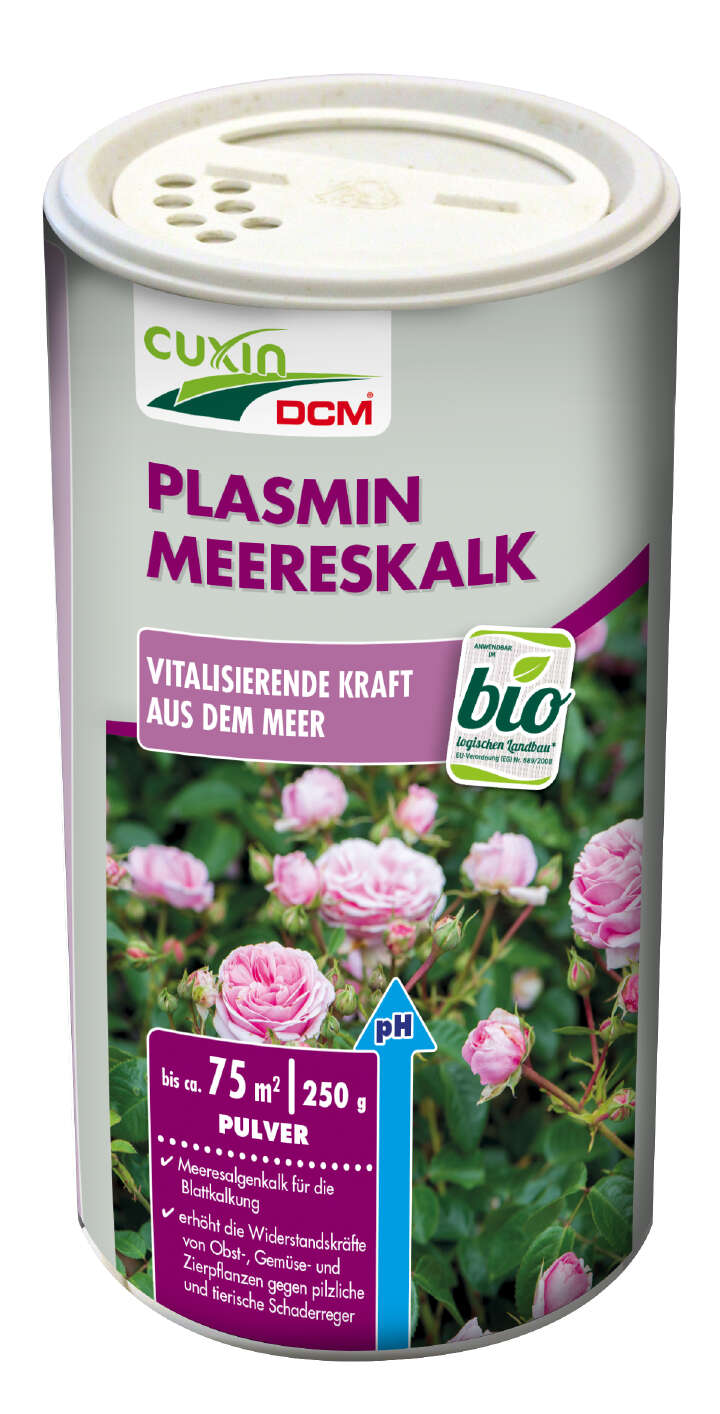 CUXIN Plasmin Pulver